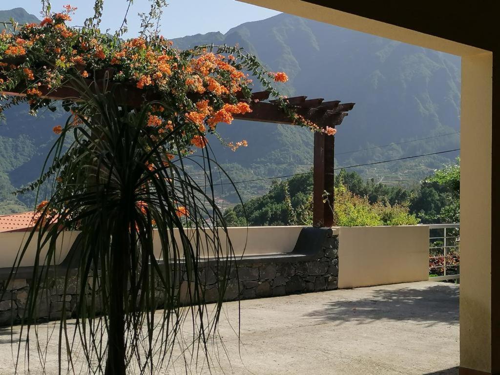 Casa Das Ginjas São Vicente Εξωτερικό φωτογραφία